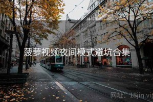 菠萝视频夜间模式避坑合集