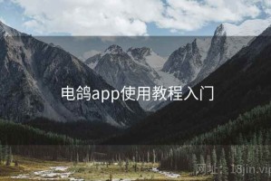 电鸽app使用教程入门