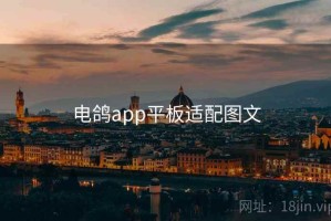 电鸽app平板适配图文