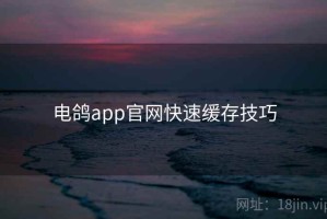 电鸽app官网快速缓存技巧