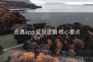 岛遇app 呈现逻辑 核心要点