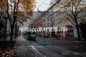 电鸽app素材管理详解