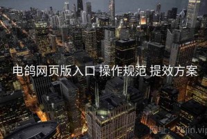 电鸽网页版入口 操作规范 提效方案