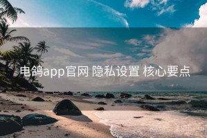 电鸽app官网 隐私设置 核心要点