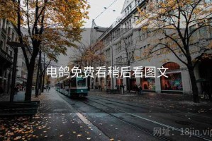 电鸽免费看稍后看图文