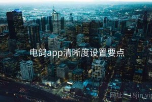 电鸽app清晰度设置要点
