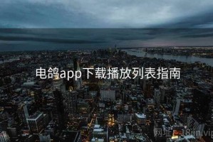 电鸽app下载播放列表指南