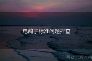 电鸽子标准问题排查