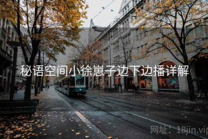 秘语空间小徐崽子边下边播详解