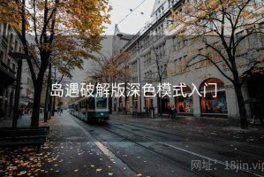 岛遇破解版深色模式入门