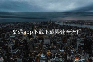 岛遇app下载下载限速全流程
