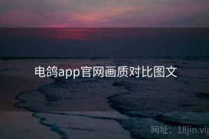 电鸽app官网画质对比图文