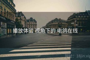 播放体验 视角下的 电鸽在线