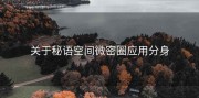 关于秘语空间微密圈应用分身