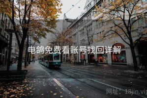 电鸽免费看账号找回详解