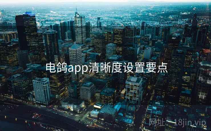 电鸽app清晰度设置要点