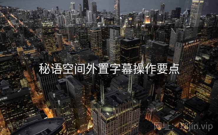 秘语空间外置字幕操作要点 秘语空间外置字幕操作要点