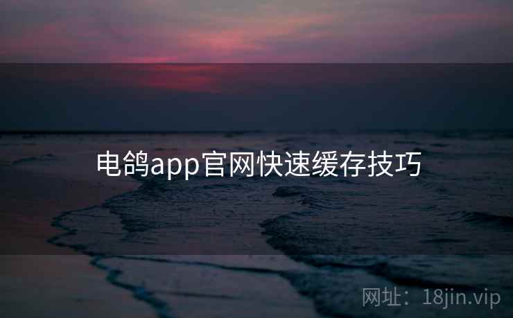 电鸽app官网快速缓存技巧 电鸽app官网快速缓存技巧