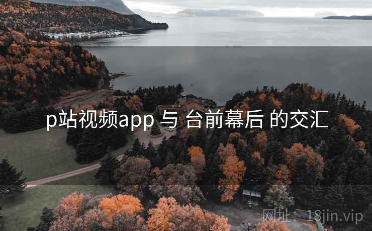 p站视频app 与 台前幕后 的交汇 p站视频app 与 台前幕后 的交汇
