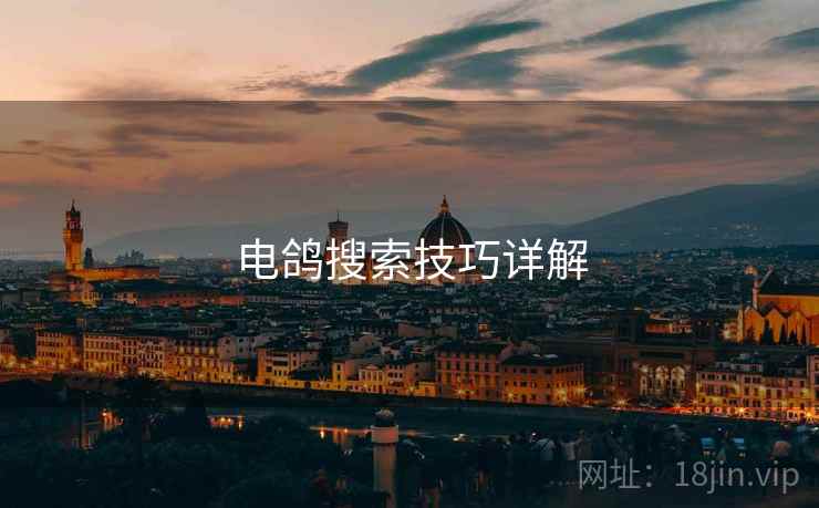 电鸽搜索技巧详解 电鸽搜索技巧详解