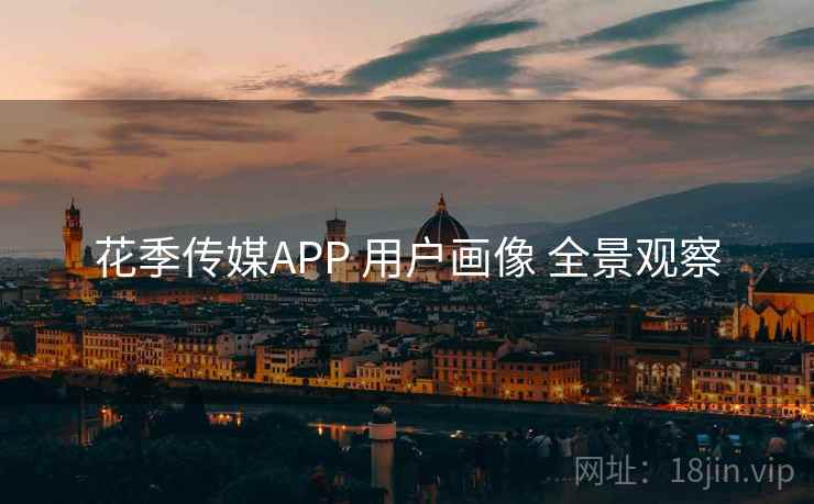 花季传媒APP 用户画像 全景观察 花季传媒APP 用户画像 全景观察