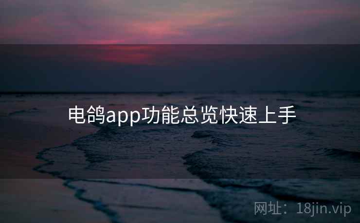 电鸽app功能总览快速上手 电鸽app功能总览快速上手