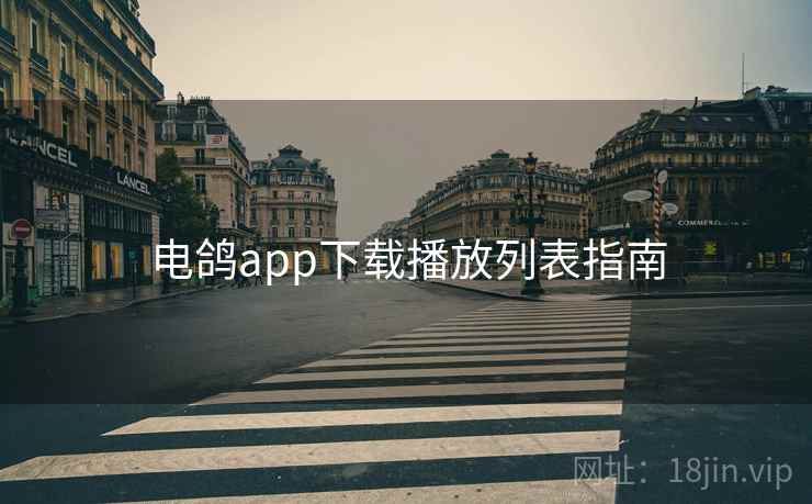 电鸽app下载播放列表指南 电鸽app下载播放列表指南