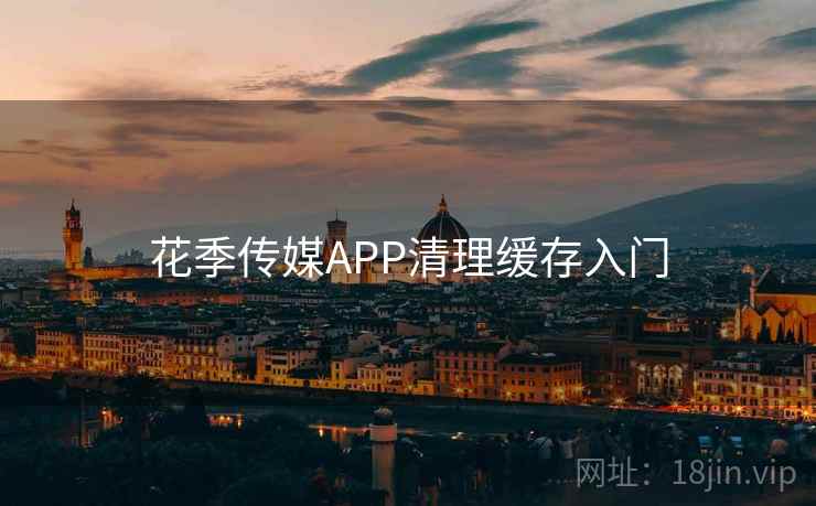 花季传媒APP清理缓存入门