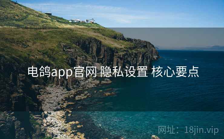 电鸽app官网 隐私设置 核心要点 电鸽app官网 隐私设置 核心要点
