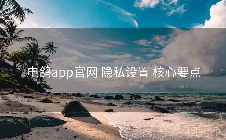 电鸽app官网 隐私设置 核心要点 电鸽app官网 隐私设置 核心要点