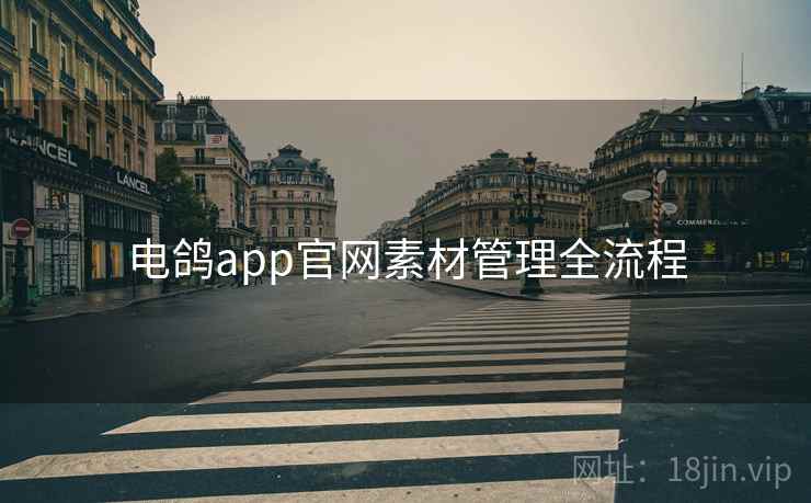 电鸽app官网素材管理全流程 电鸽app官网素材管理全流程