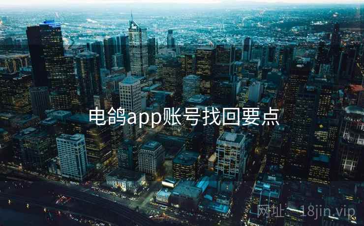 电鸽app账号找回要点 电鸽app账号找回要点