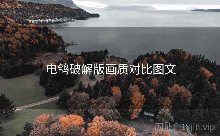 电鸽破解版画质对比图文 电鸽破解版画质对比图文