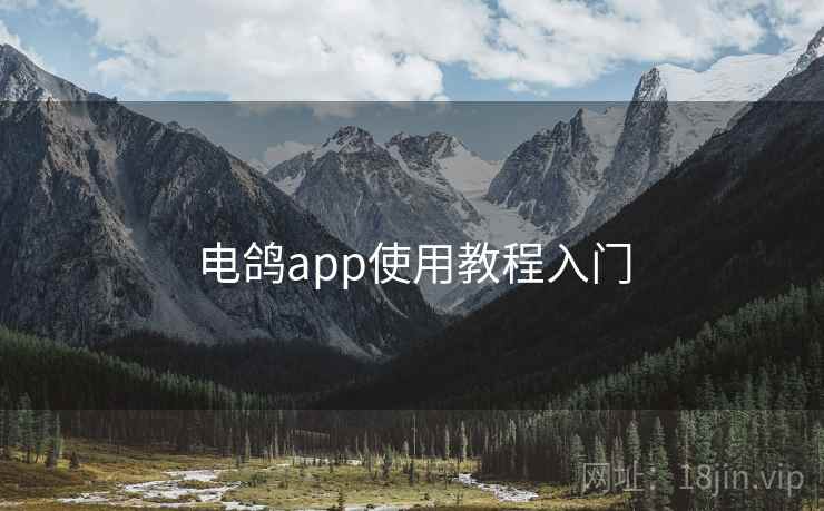 电鸽app使用教程入门 电鸽app使用教程入门