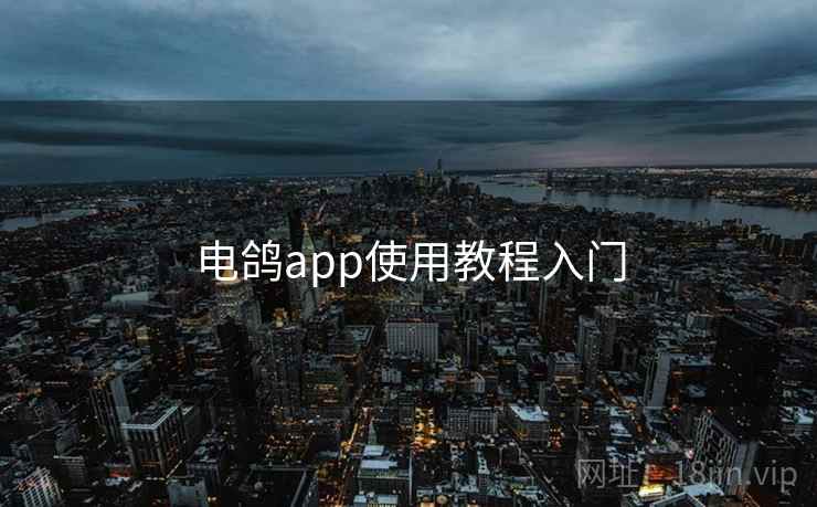 电鸽app使用教程入门 电鸽app使用教程入门