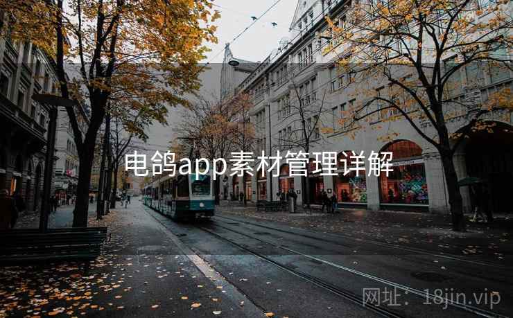 电鸽app素材管理详解 电鸽app素材管理详解