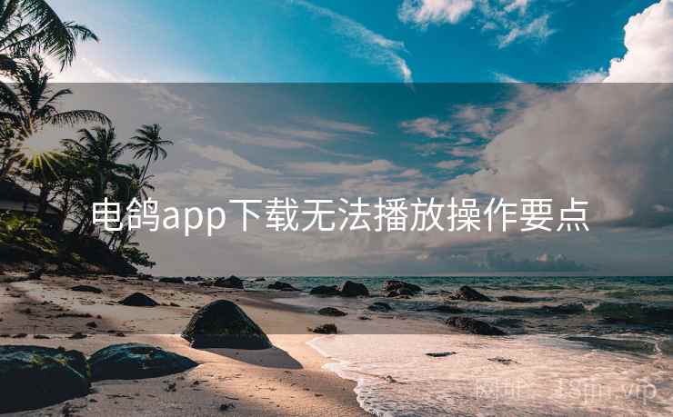 电鸽app下载无法播放操作要点 电鸽app下载无法播放操作要点